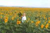 Bill in the flowers Image