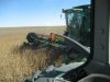 Combining beans Image