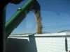 Emptying the hopper Image