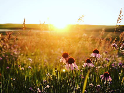 Bailey Hawbaker, third place photo winner