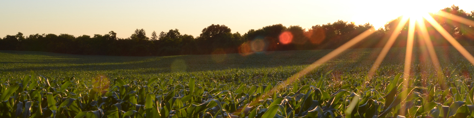 Farm and Ranch Conference coming in February