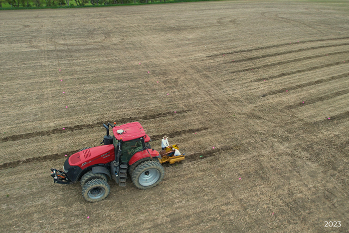 Planting the vineyard in 2023