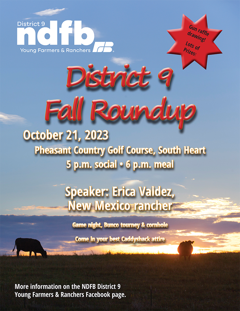 District 9 Fall Roundup poster