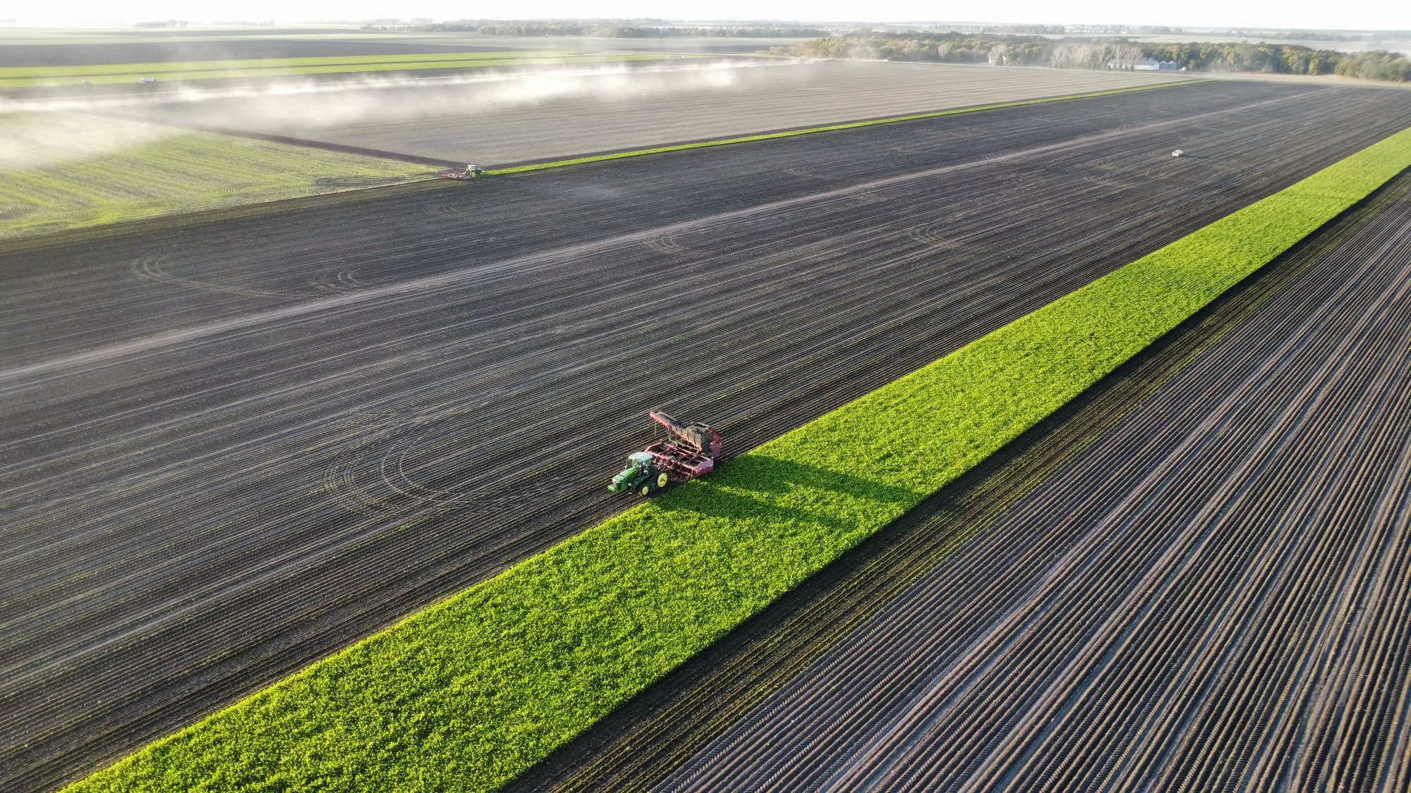 Sugarbeet harvest from the air by Genevieve Monsebroten
