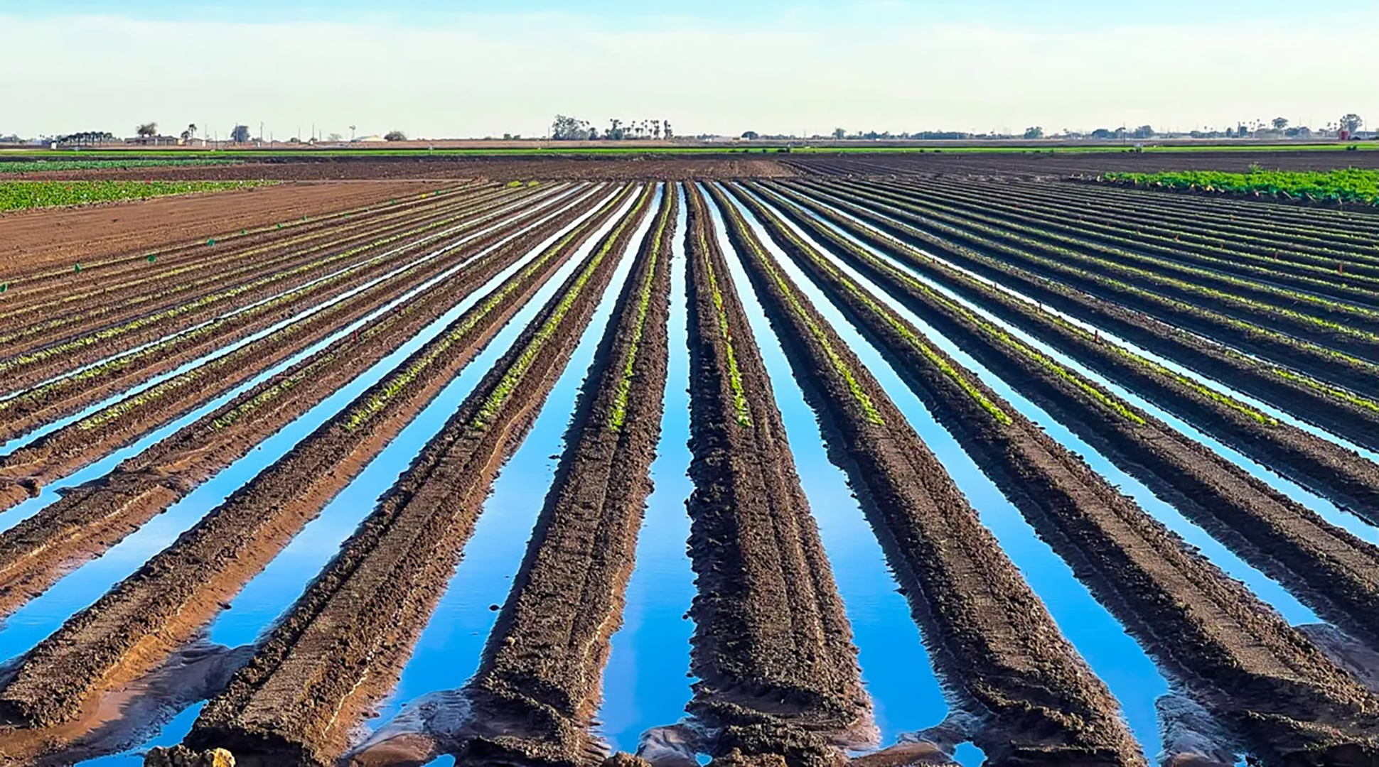Is growing food in the desert a waste of water?