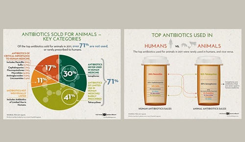 Antibiotics sold for animals