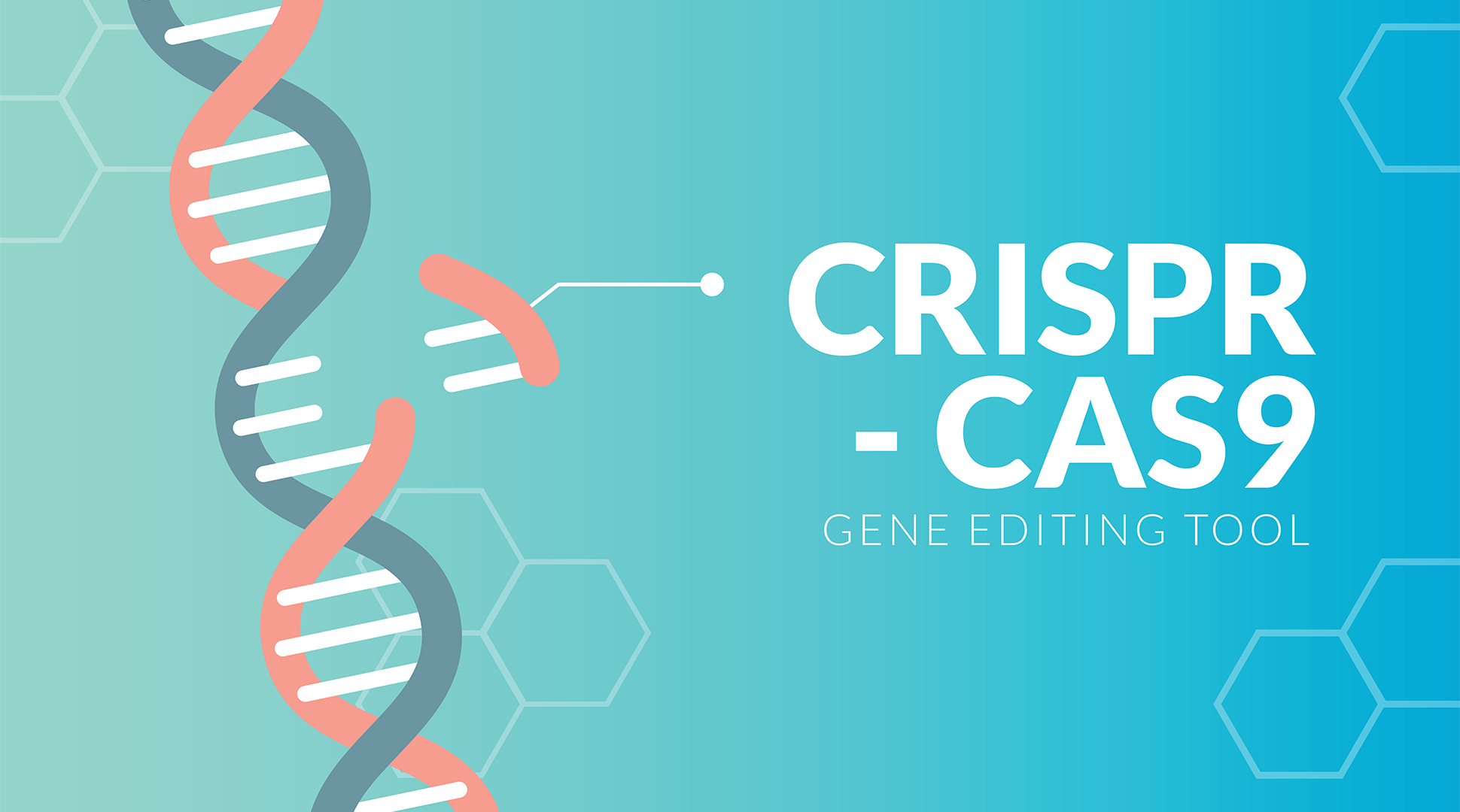 Explaining CRISPR