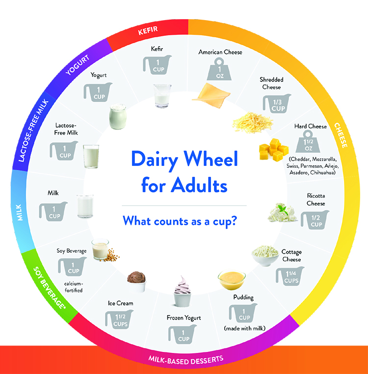 National Dairy Council Dairy Wheel from NDC_Lifespan-Supplement_Adults informational pdf