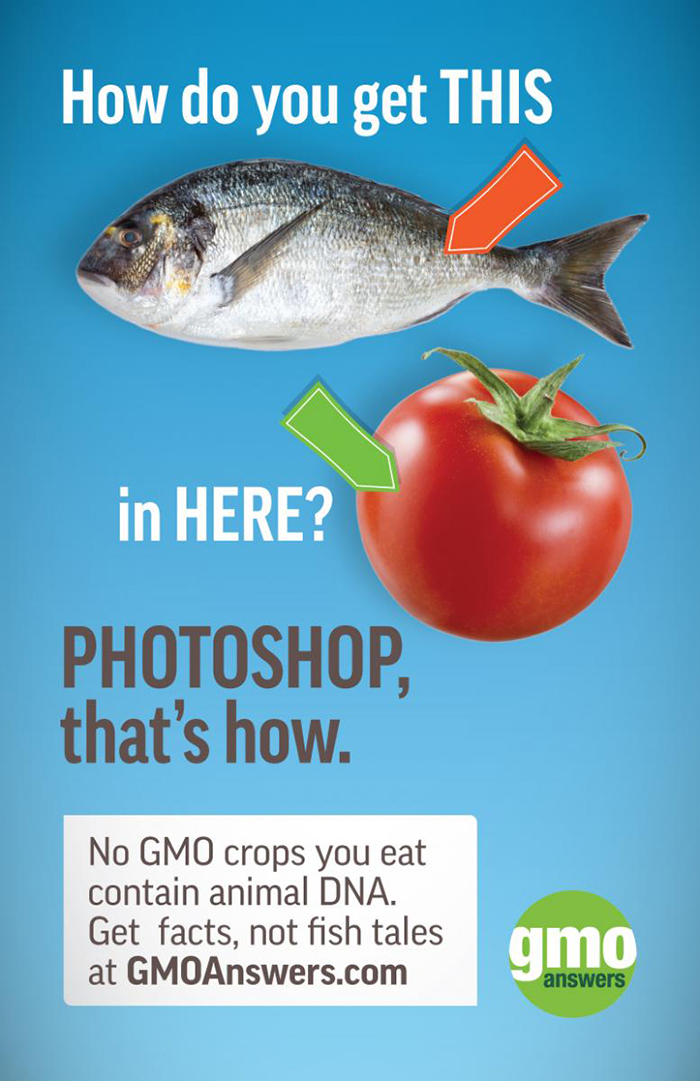Busting GMO myths