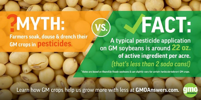 Myth: Farmers drench their GM crops in pesticides
