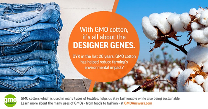 GMO cotton is all about designer genes!