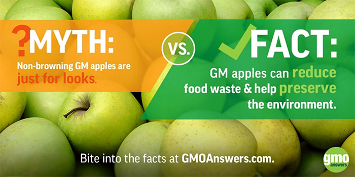 GMO apples myths and facts