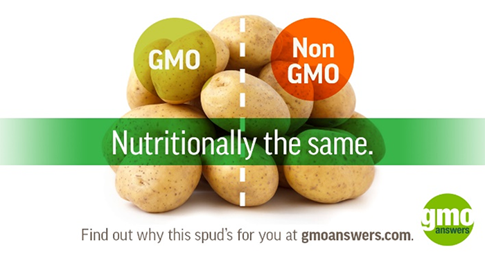 GMO potatoes help cut food waste