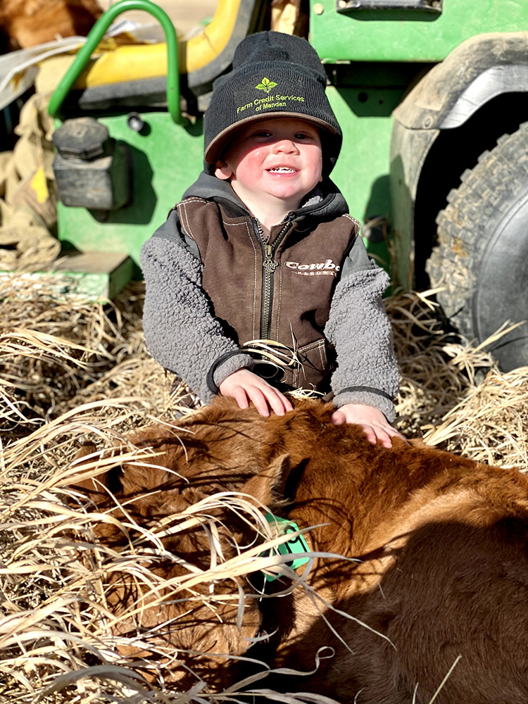 Little Max and a new calf on the ranch