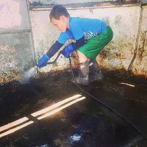 Heather's son cleans out the pig pen