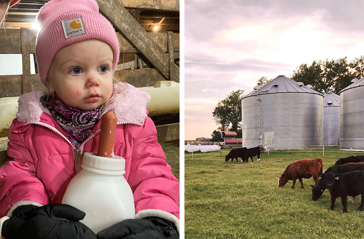 Kara's daughter and the cattle