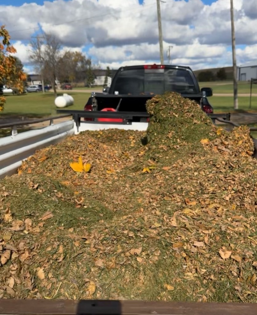 Trailer full of leaves and grass clippins