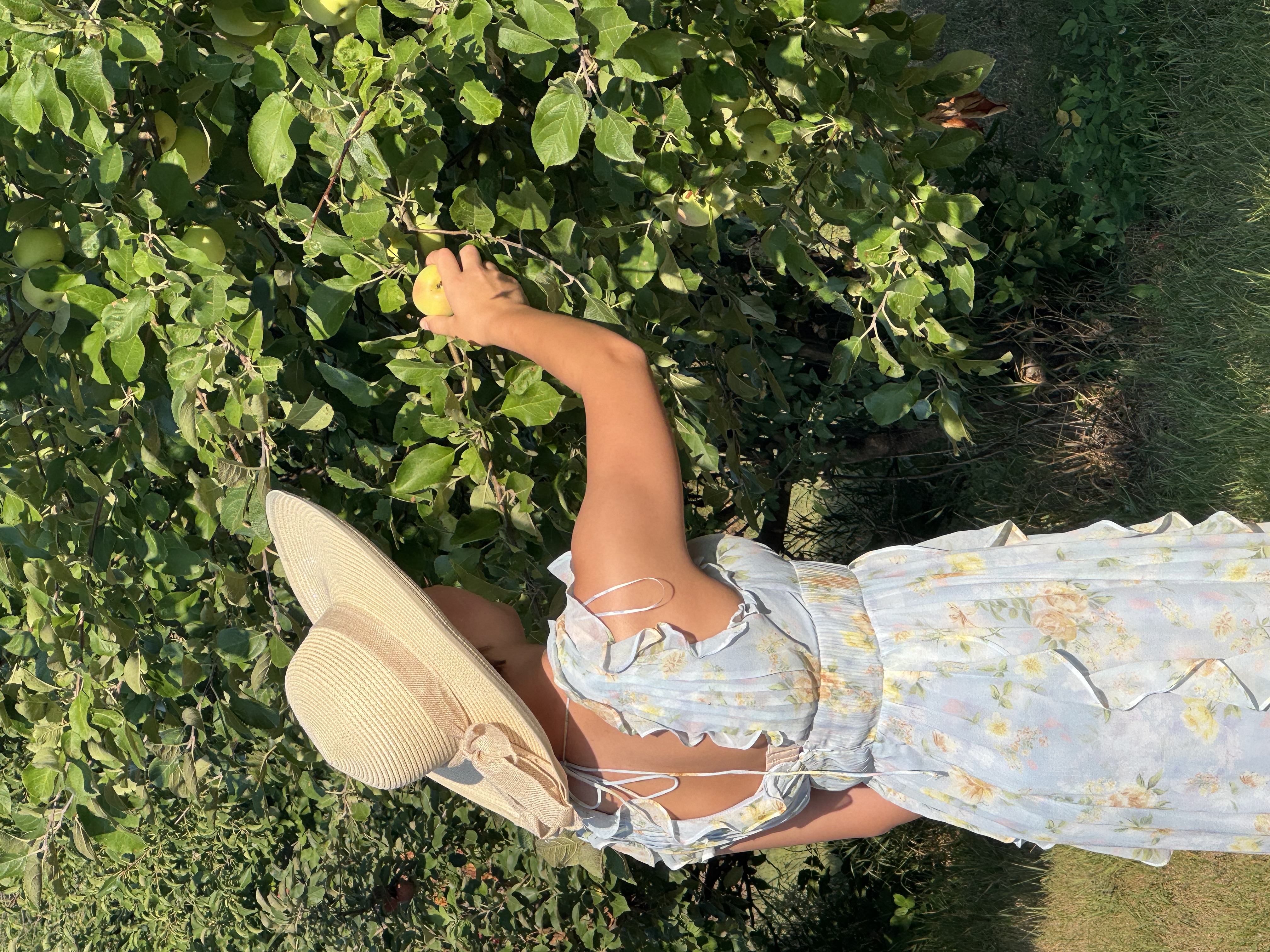 Miss E picking an apple