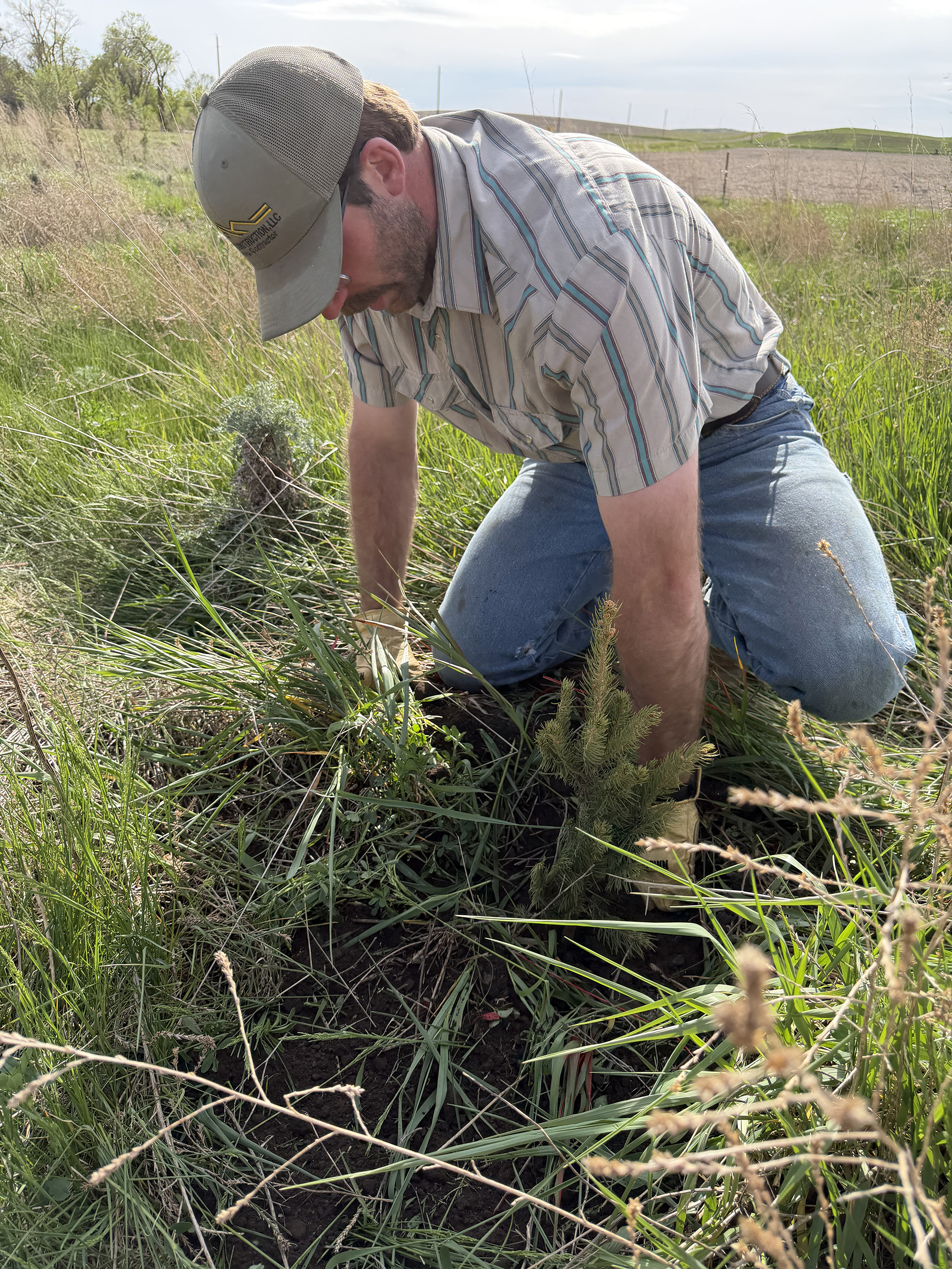 Planting trees
