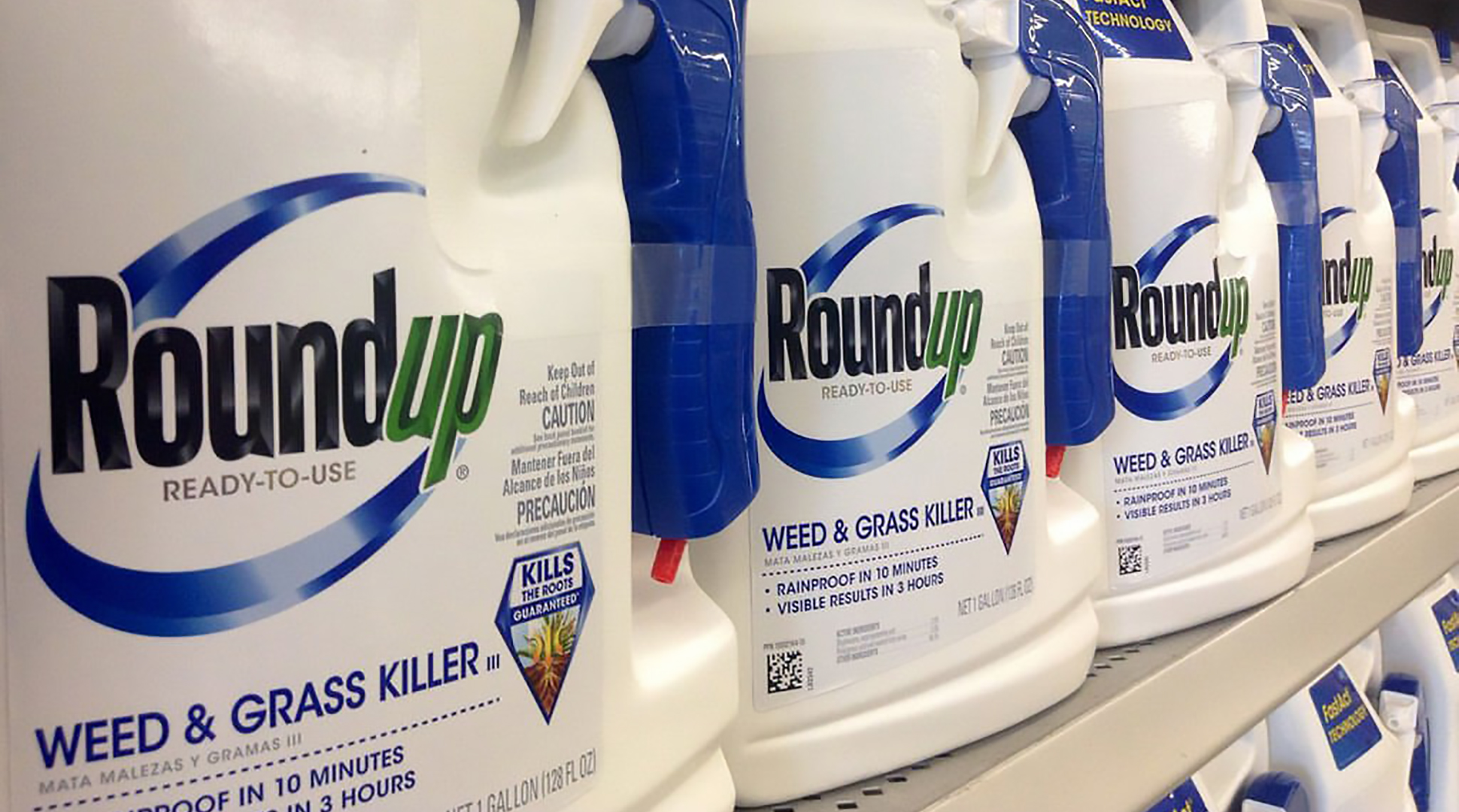 Glyphosate can cure cancer?