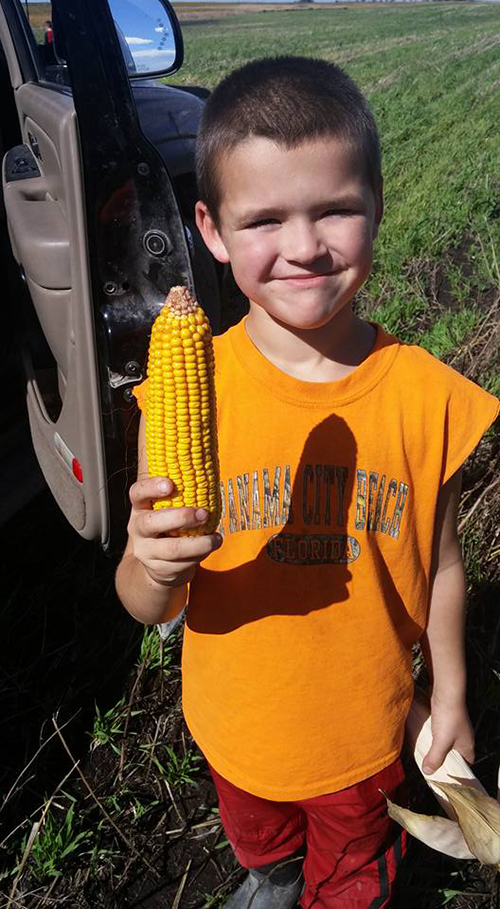 Son holds a nice ear of corn