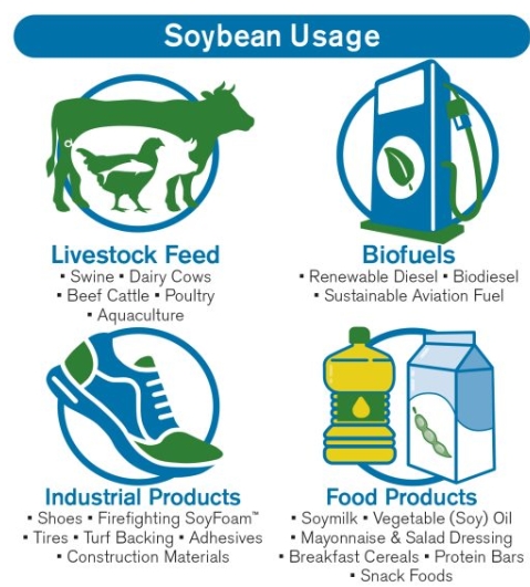 Sobyean usage graphic from ND Soybean Council infographic