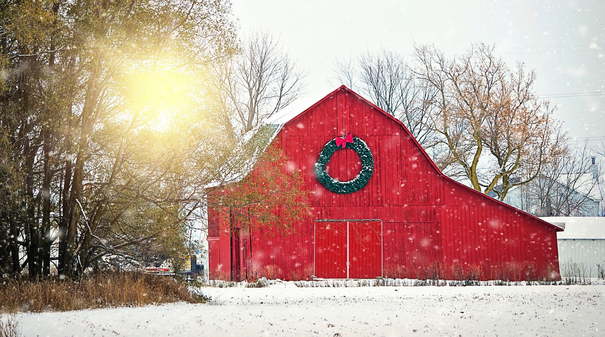 How ag helped shape our modern holiday trends