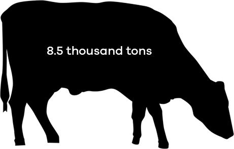Beef cows consumed 8.5 thousand tons of soybean meal in 2016