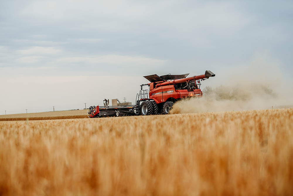 harvesting in North Dakota