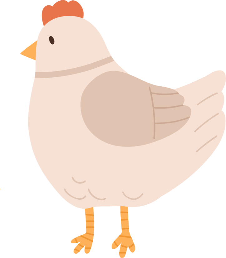 cartoon chicken