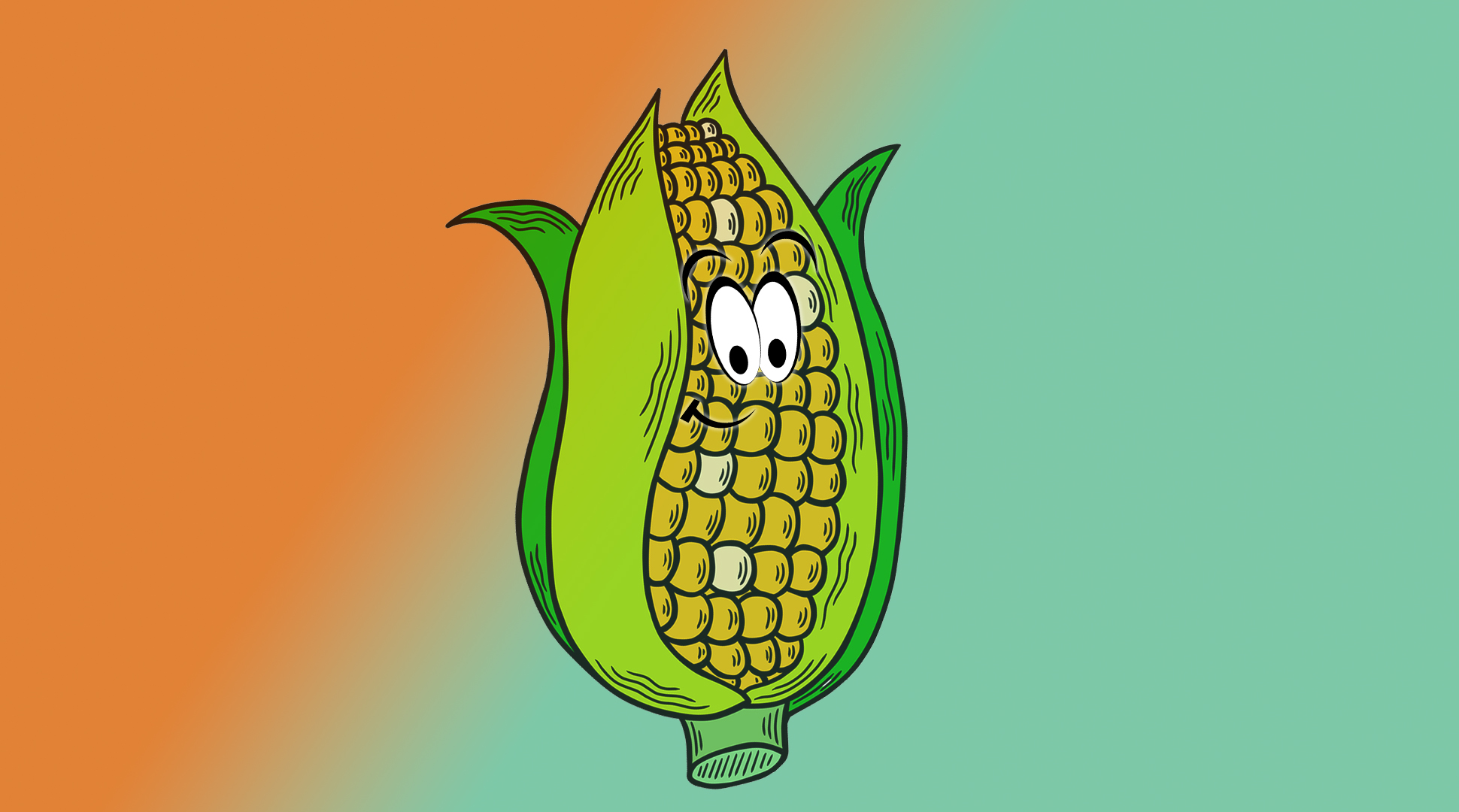 Field vs. sweet corn! It's a corn-undrum!