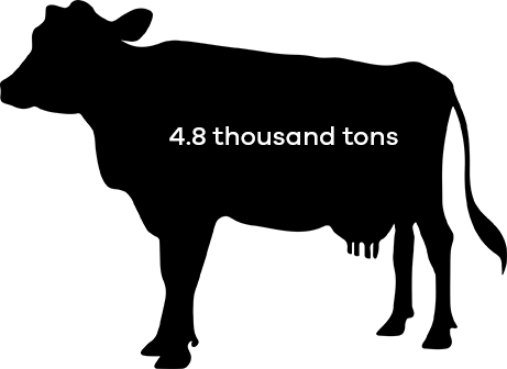 Dairy cattle consumed 4.8 thousand tons of soybean meal in 2016.