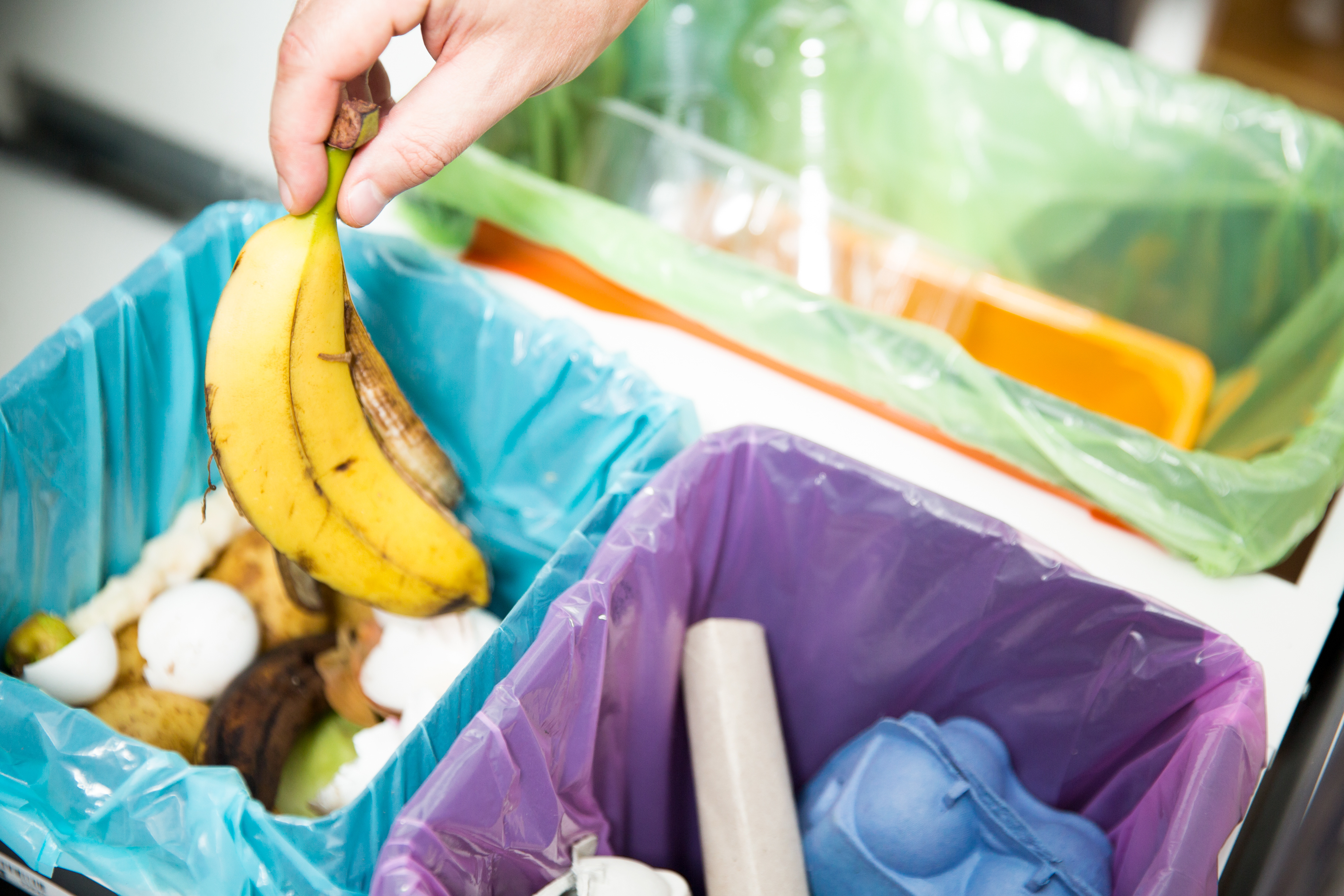 How can you reduce food waste?