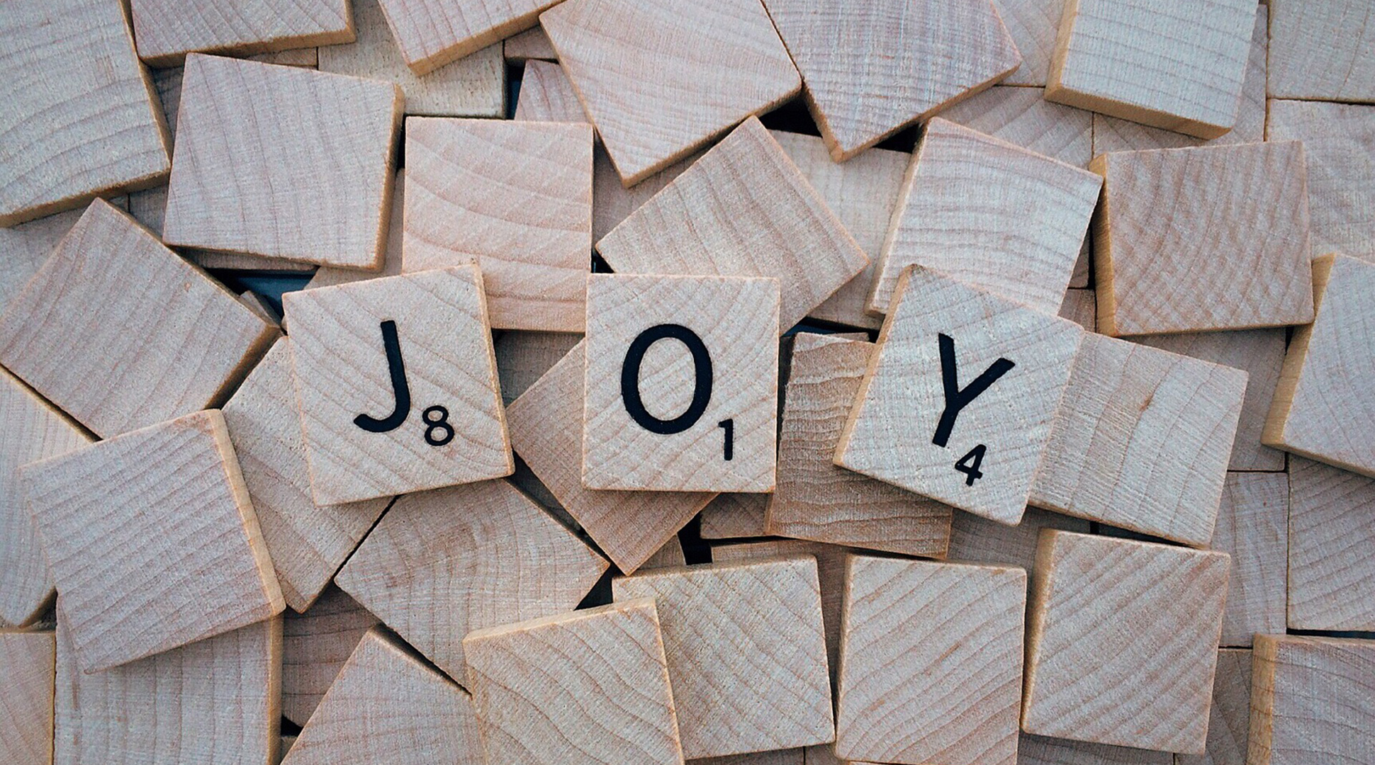 Find Joy. Choose Joy. Create Joy.