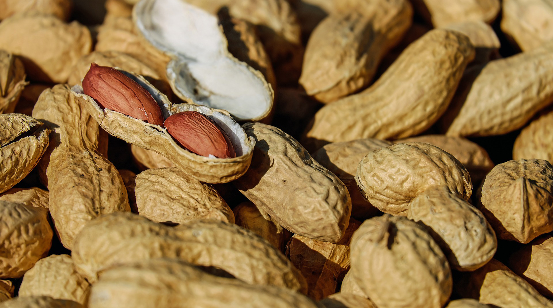 Peanut allergy update