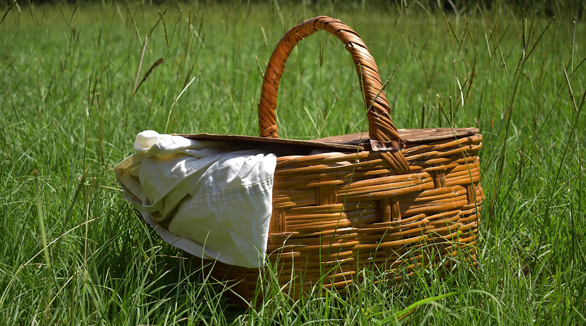 It's July!!! Grab your picnic baskets!