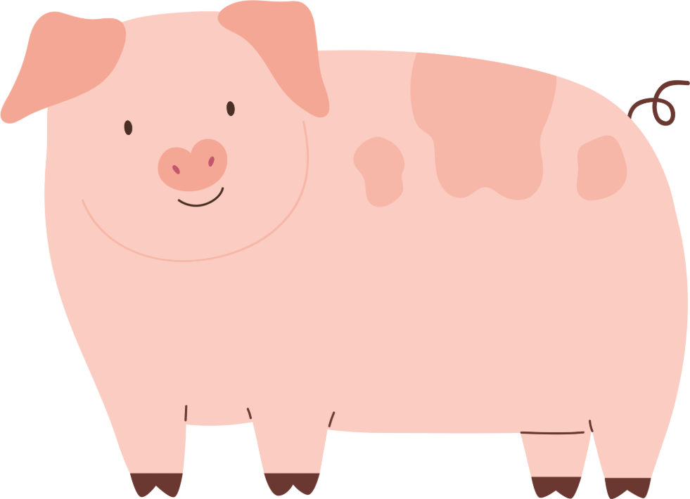 pig cartoon