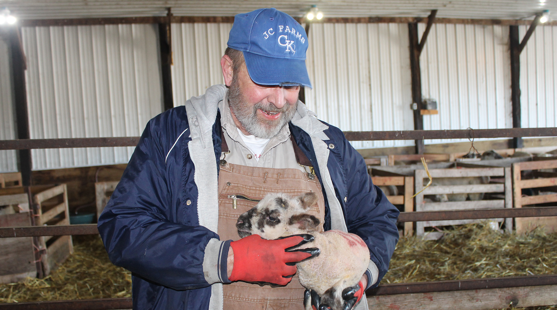 Why do farmers shear sheep?